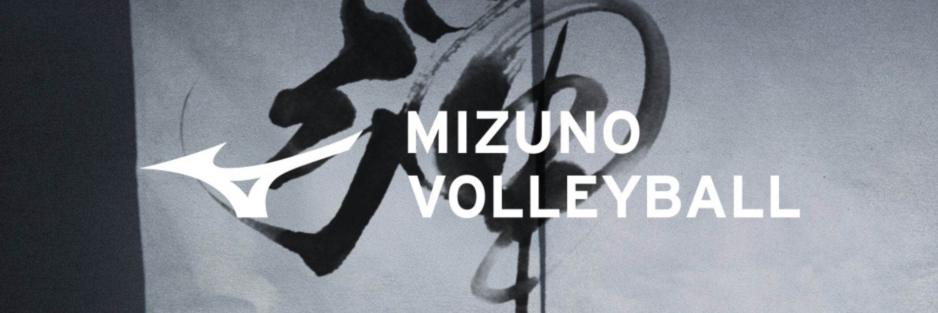 Alles over Mizuno